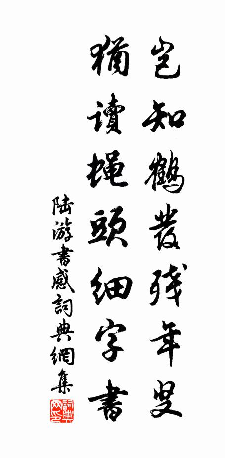 陆游岂知鹤发残年叟，犹读蝇头细字书书法作品欣赏