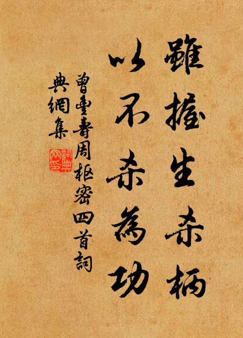 曾丰虽握生杀柄，以不杀为功书法作品欣赏