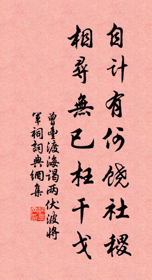 曾丰自计有何饶社稷，相寻无已枉干戈书法作品欣赏