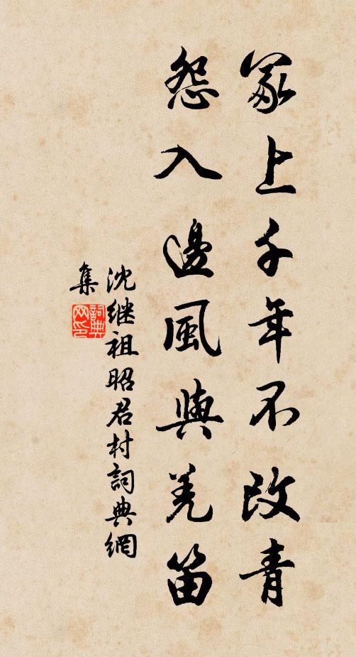 沈继祖冢上千年不改青，怨入边风与羌笛书法作品欣赏