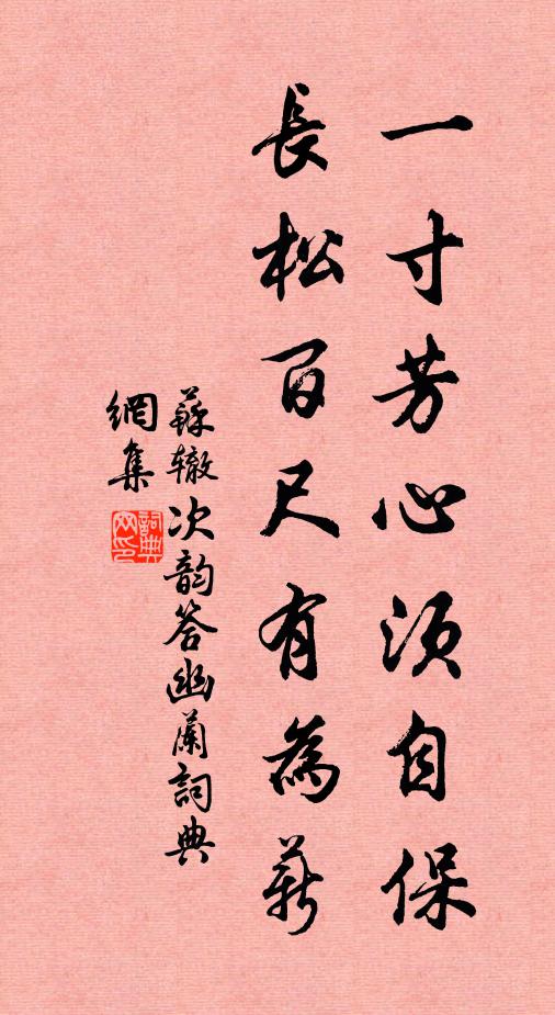 苏辙一寸芳心须自保，长松百尺有为薪书法作品欣赏