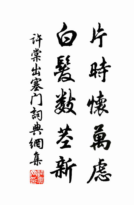 许棠片时怀万虑，白发数茎新书法作品欣赏