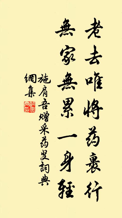 施肩吾老去唯将药裹行，无家无累一身轻书法作品欣赏