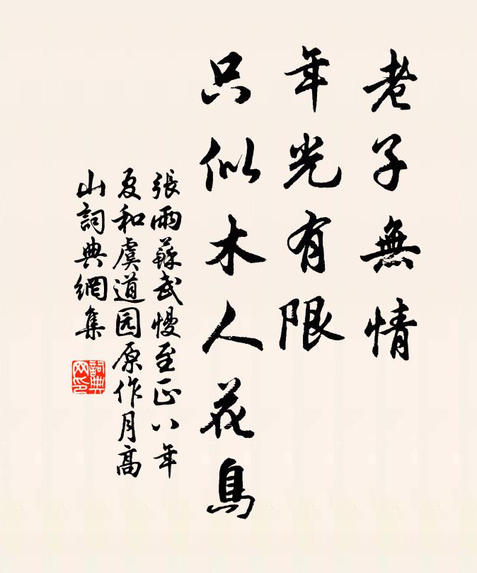 张雨老子无情，年光有限，只似木人花鸟书法作品欣赏