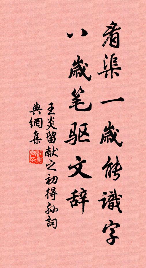 王炎看渠一岁能识字，八岁笔驱文辞书法作品欣赏