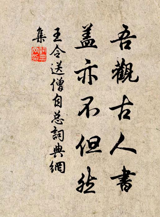 王令吾观古人书，盖亦不但然书法作品欣赏