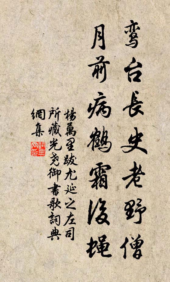 杨万里鸾台长史老野僧，月前病鹤霜后蝇书法作品欣赏