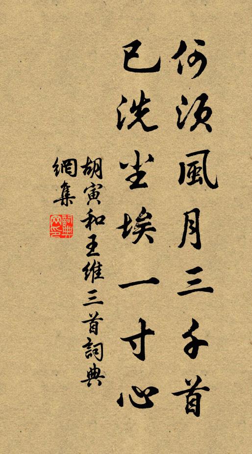 胡寅何须风月三千首，已洗尘埃一寸心书法作品欣赏