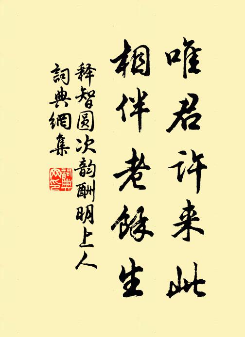 释智圆唯君许来此，相伴老馀生书法作品欣赏