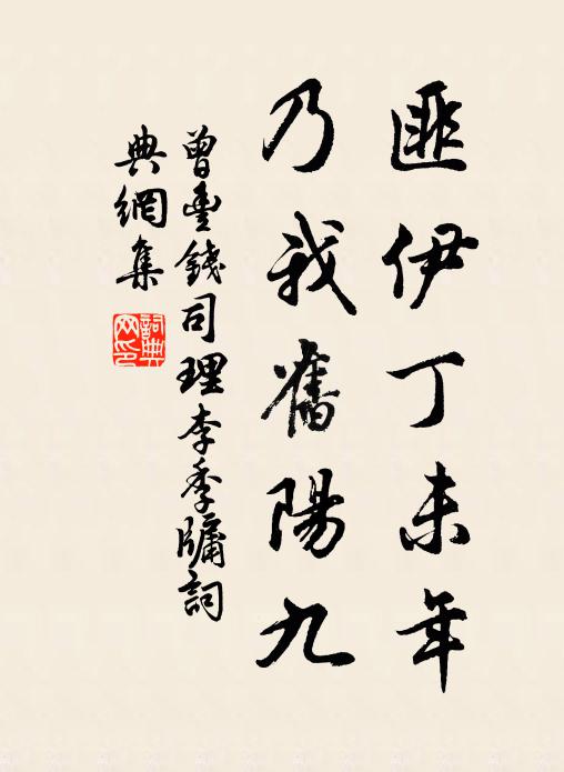 曾丰匪伊丁未年，乃我旧阳九书法作品欣赏
