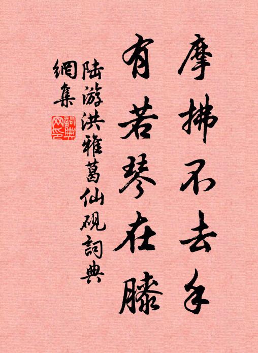 陆游摩拂不去手，有若琴在膝书法作品欣赏