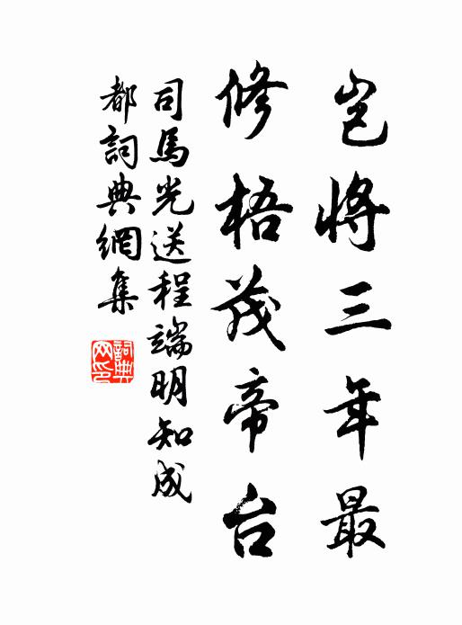 司马光岂将三年最，修梧茂帝台书法作品欣赏