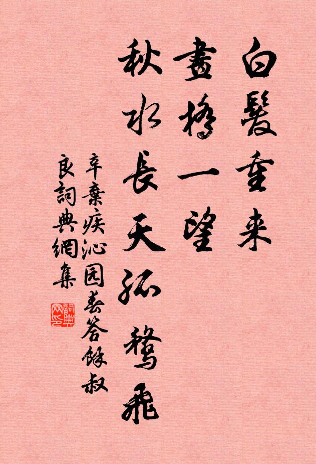 辛弃疾白发重来，画桥一望，秋水长天孤鹜飞书法作品欣赏