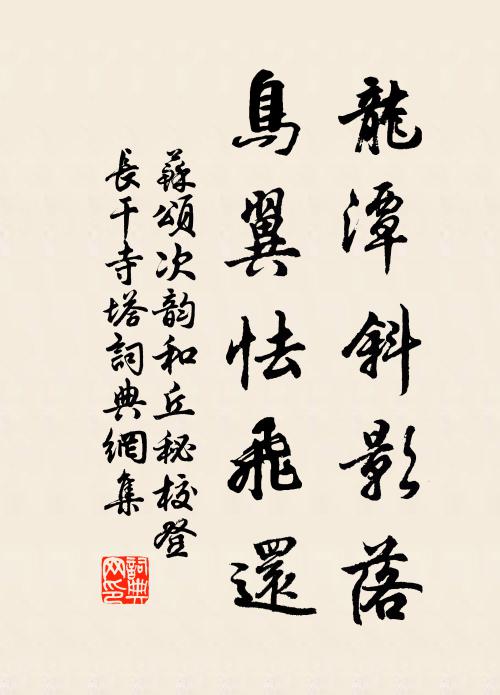 苏颂龙潭斜影落，鸟翼怯飞还书法作品欣赏