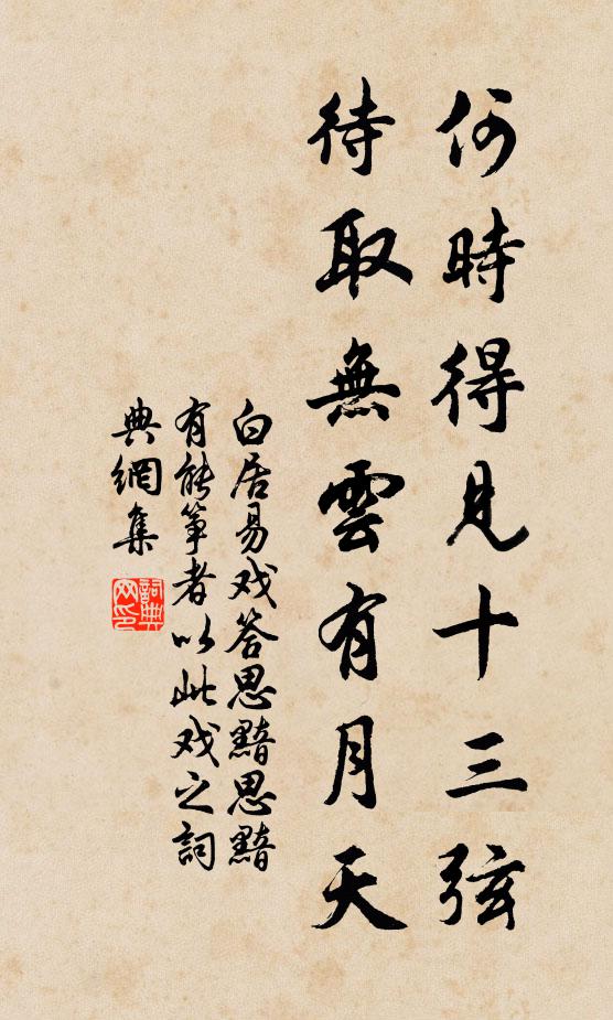 白居易何时得见十三弦，待取无云有月天书法作品欣赏