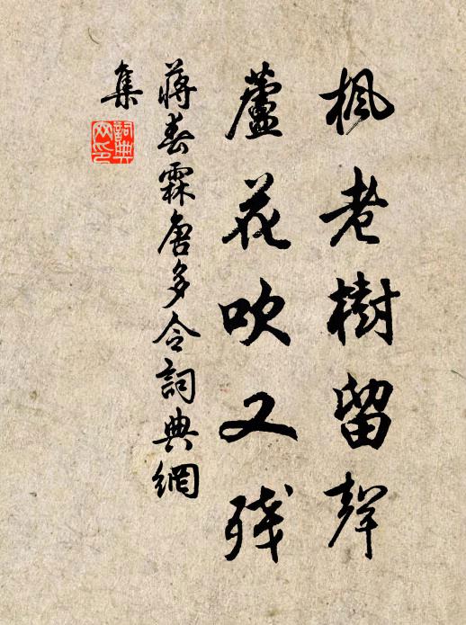 蒋春霖枫老树留声，芦花吹又残书法作品欣赏