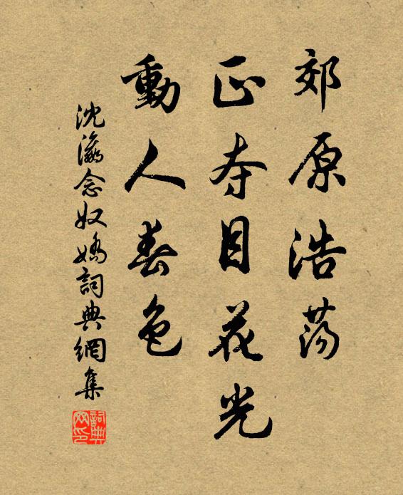 沈瀛郊原浩荡，正夺目花光，动人春色书法作品欣赏