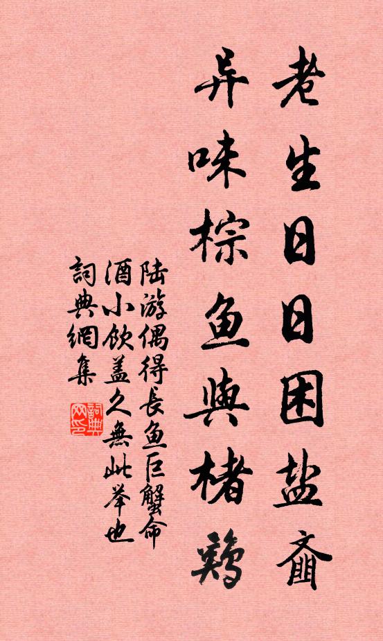 陆游老生日日困盐齑，异味棕鱼与楮鸡书法作品欣赏