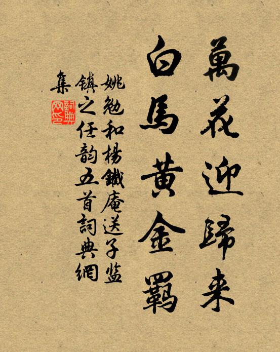 姚勉万花迎归来，白马黄金羁书法作品欣赏