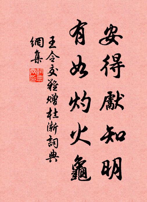 王令安得先知明，有如灼火龟书法作品欣赏