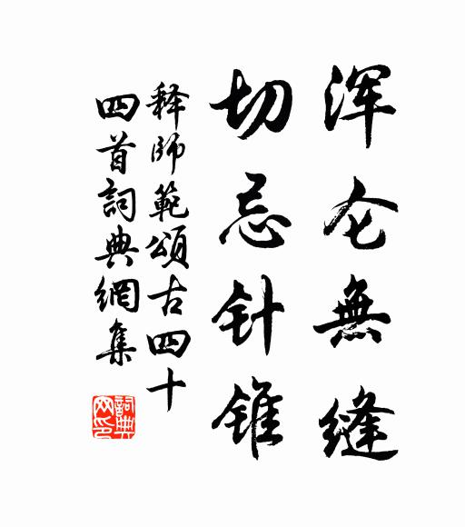 释师范浑仑无缝，切忌针锥书法作品欣赏