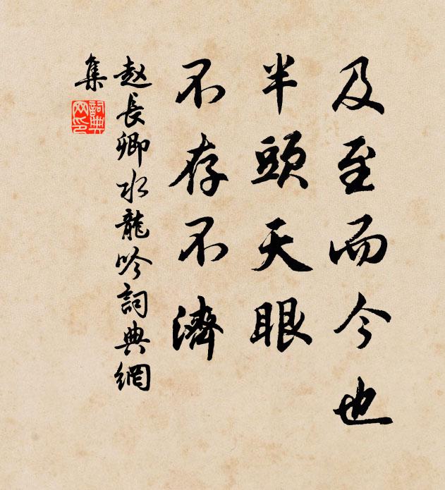 赵长卿及至而今也，半头天眼，不存不济书法作品欣赏