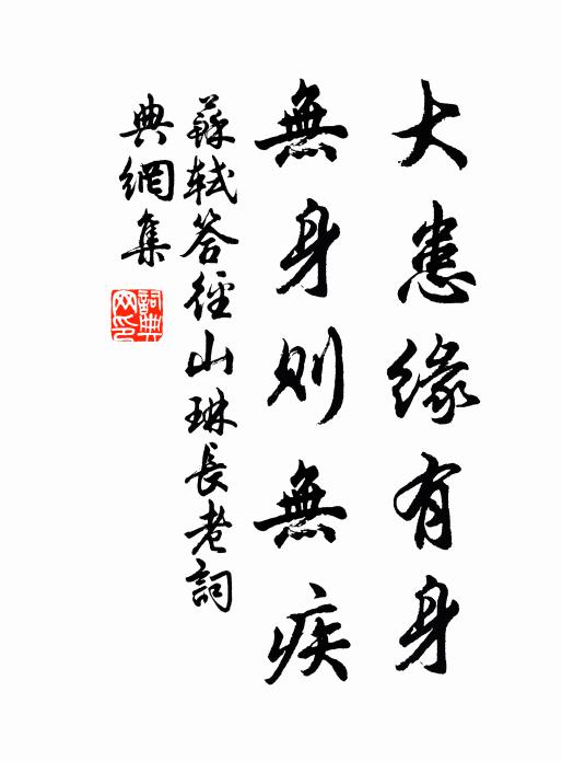 苏轼大患缘有身，无身则无疾书法作品欣赏