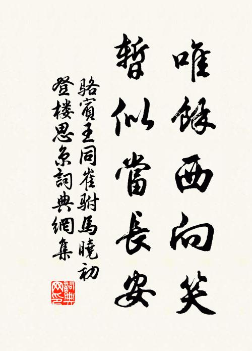 骆宾王唯馀西向笑，暂似当长安书法作品欣赏