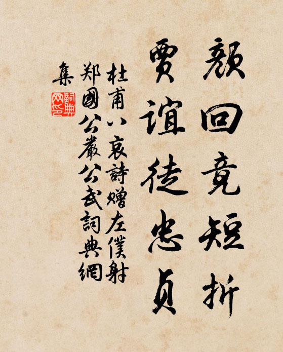 杜甫颜回竟短折，贾谊徒忠贞书法作品欣赏