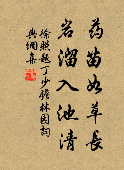 徐照药苗如草长，岩溜入池清书法作品欣赏