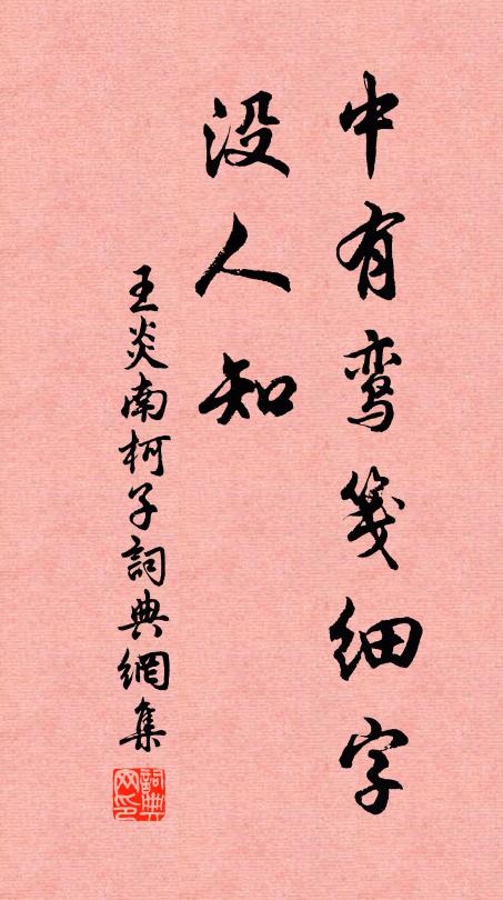 王炎中有鸾笺细字、没人知书法作品欣赏