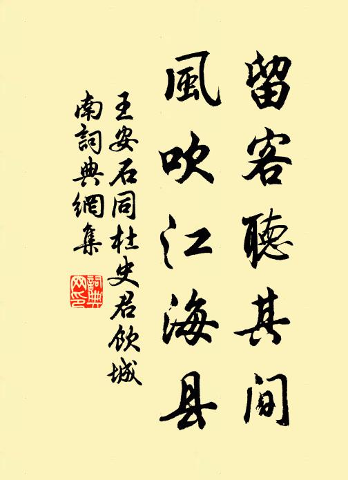 王安石留客听其间，风吹江海县书法作品欣赏