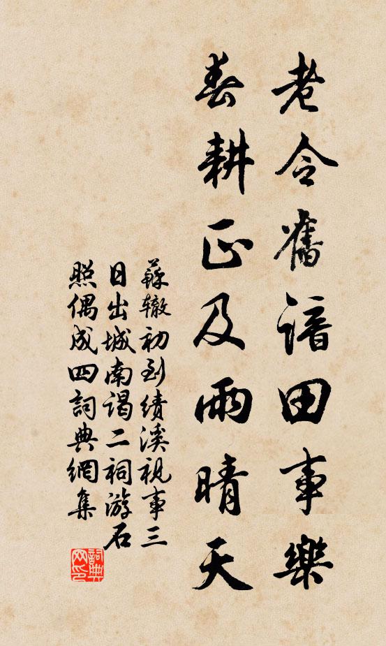 苏辙老令旧谙田事乐，春耕正及雨晴天书法作品欣赏