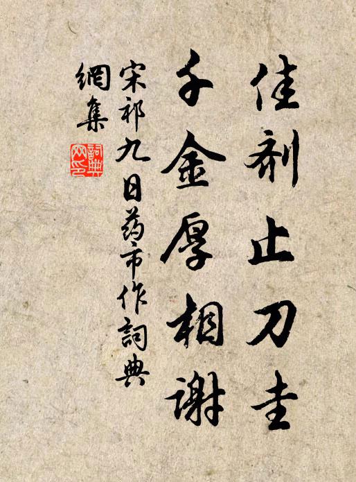 宋祁佳剂止刀圭，千金厚相谢书法作品欣赏