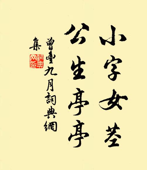 曾丰小字女茎，公生亭亭书法作品欣赏