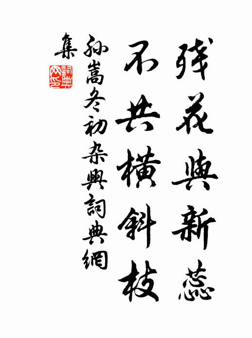 孙嵩残花与新蕊，不共横斜枝书法作品欣赏