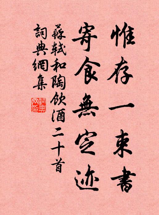 苏轼惟存一束书，寄食无定迹书法作品欣赏