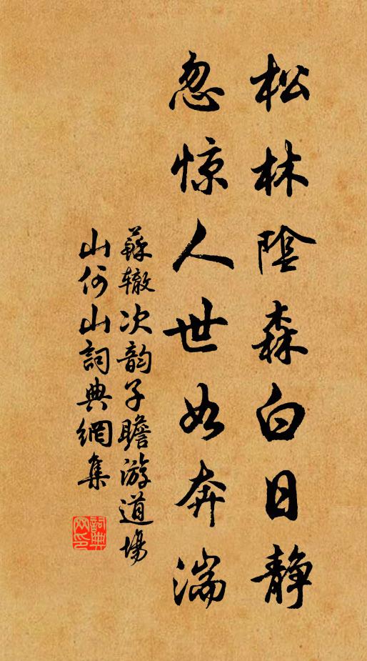苏辙松林阴森白日静，忽惊人世如奔湍书法作品欣赏
