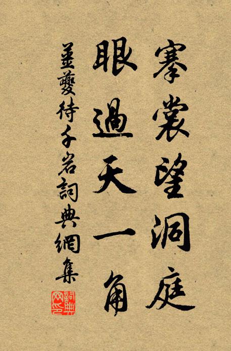 姜夔搴裳望洞庭，眼过天一角书法作品欣赏