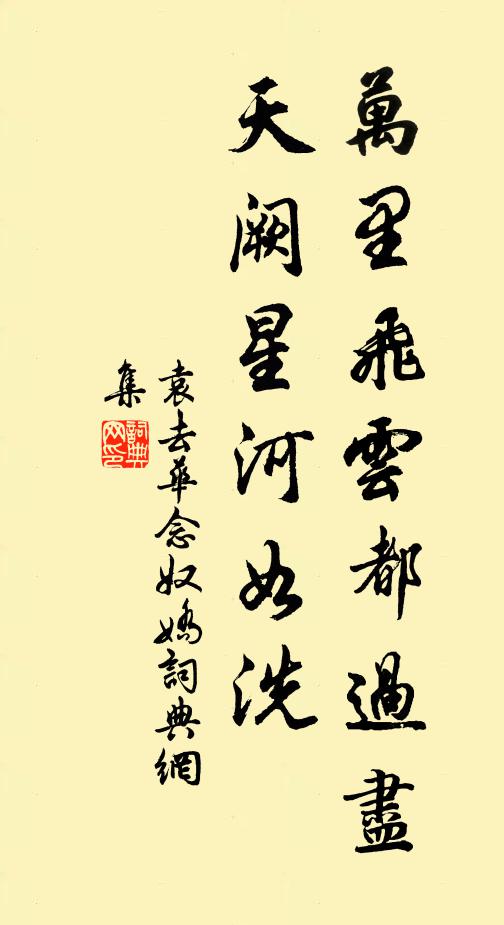 袁去华万里飞云都过尽，天阙星河如洗书法作品欣赏