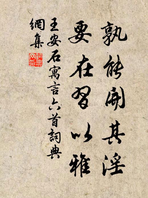 王安石孰能开其淫，要在习以雅书法作品欣赏