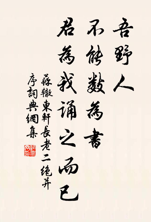 苏辙吾野人，不能数为书，君为我诵之而已书法作品欣赏