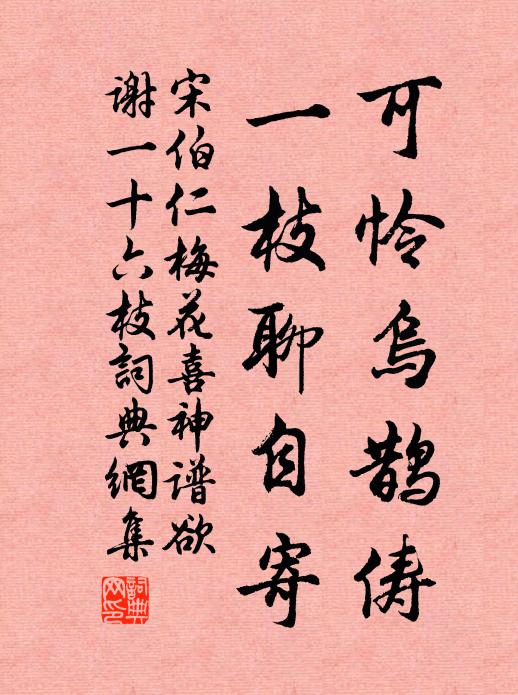 宋伯仁可怜乌鹊俦，一枝聊自寄书法作品欣赏