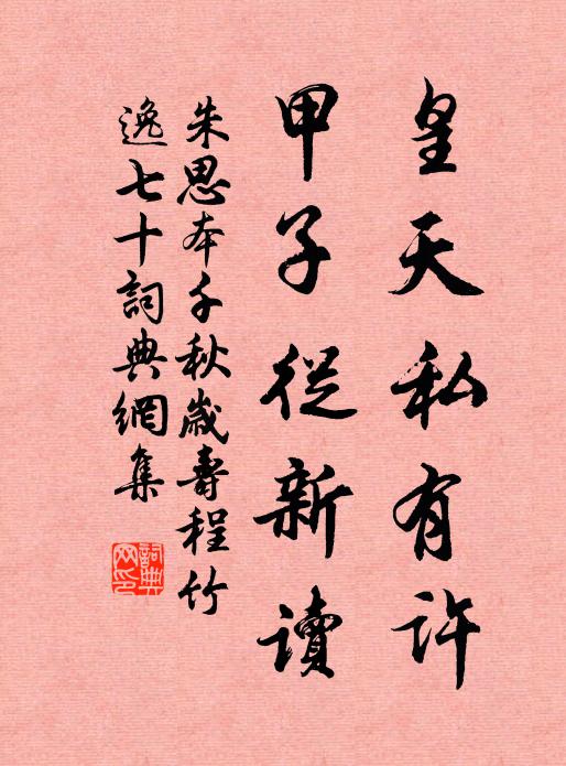 朱思本皇天私有许，甲子从新读书法作品欣赏