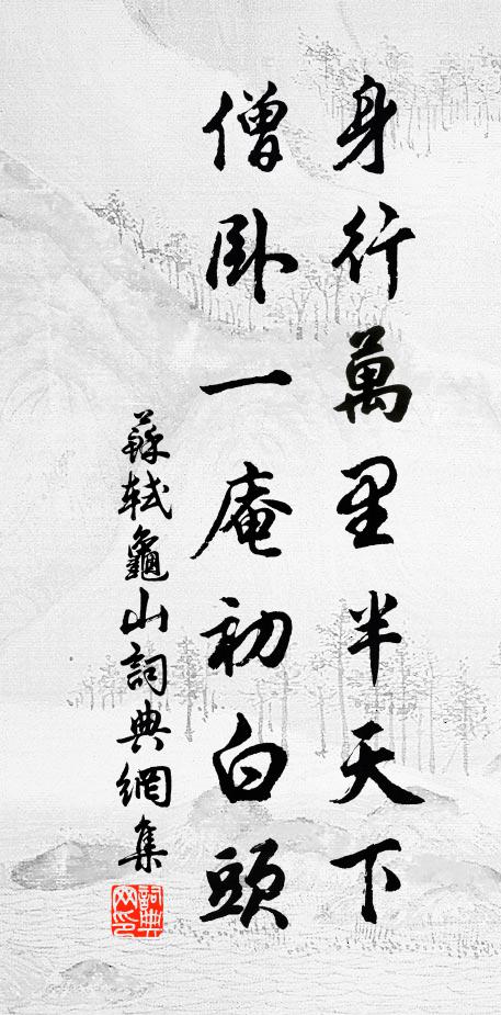 苏轼身行万里半天下，僧卧一庵初白头书法作品欣赏