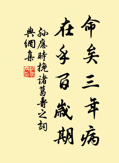 孙应时命矣三年病，在乎百岁期书法作品欣赏