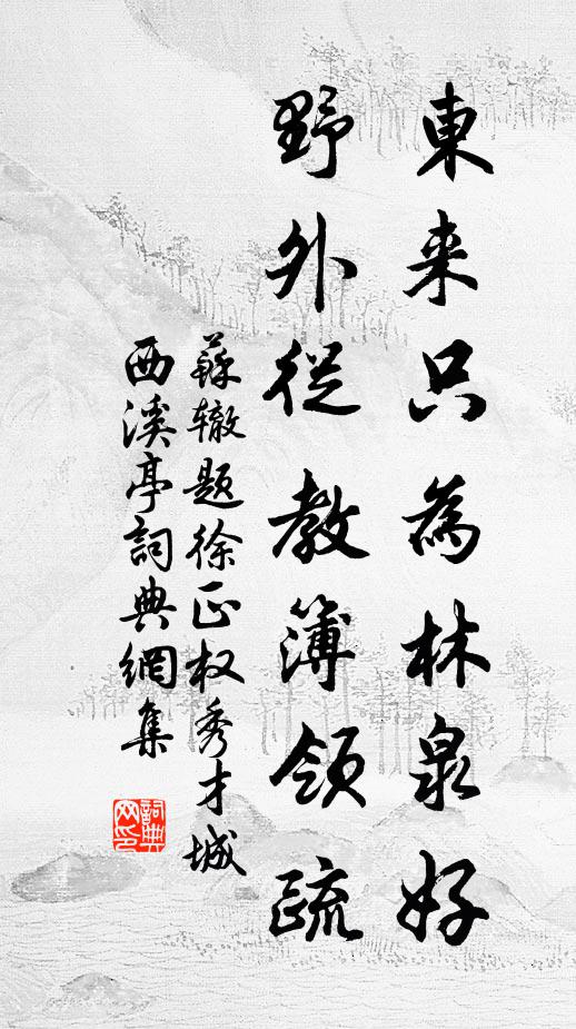 苏辙东来只为林泉好，野外从教簿领疏书法作品欣赏