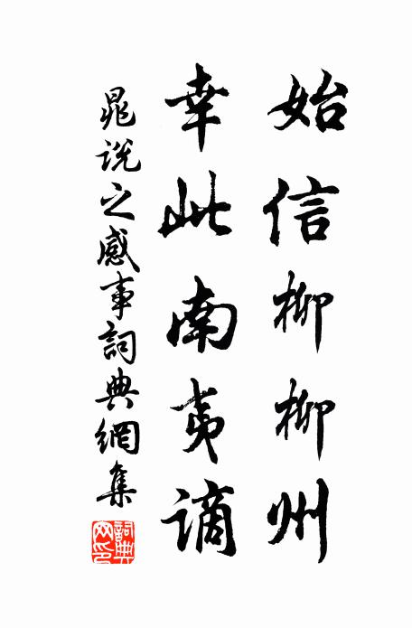 晁说之始信柳柳州，幸此南夷谪书法作品欣赏