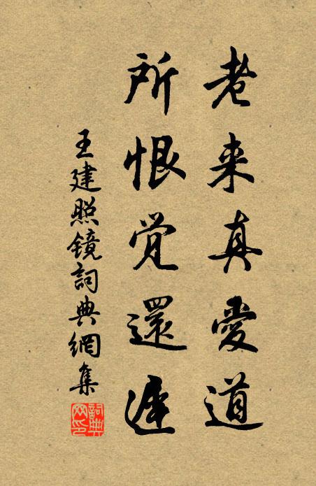 王建老来真爱道，所恨觉还迟书法作品欣赏