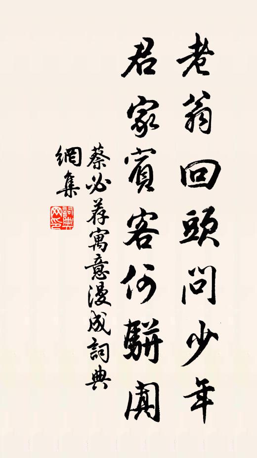 蔡必荐老翁回头问少年，君家宾客何骈阗书法作品欣赏